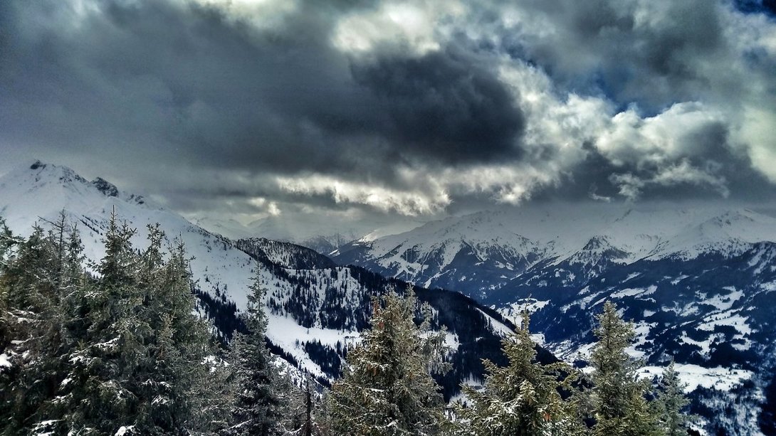 IMG_20200214_133627631_HDR-01.thumb.jpeg.08c513867aeb31a0f356b0c5c5c965e2.jpeg