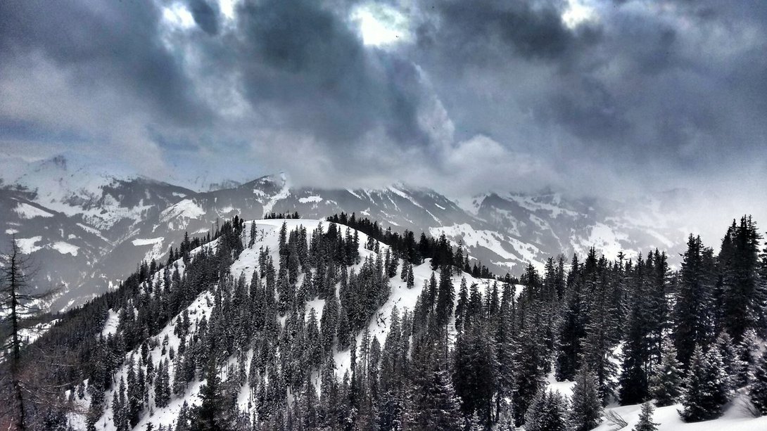 IMG_20200214_160822917_HDR-01.thumb.jpeg.516370bc0d76c758d5f017f338a007de.jpeg