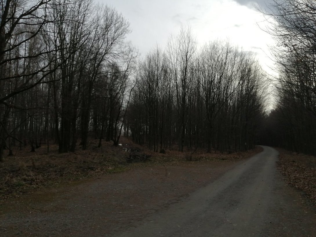 IMG_20200217_145629.jpg