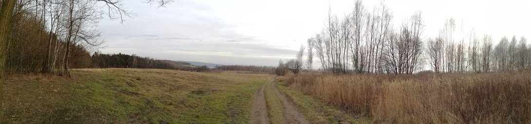 IMG_20200217_150415.jpg