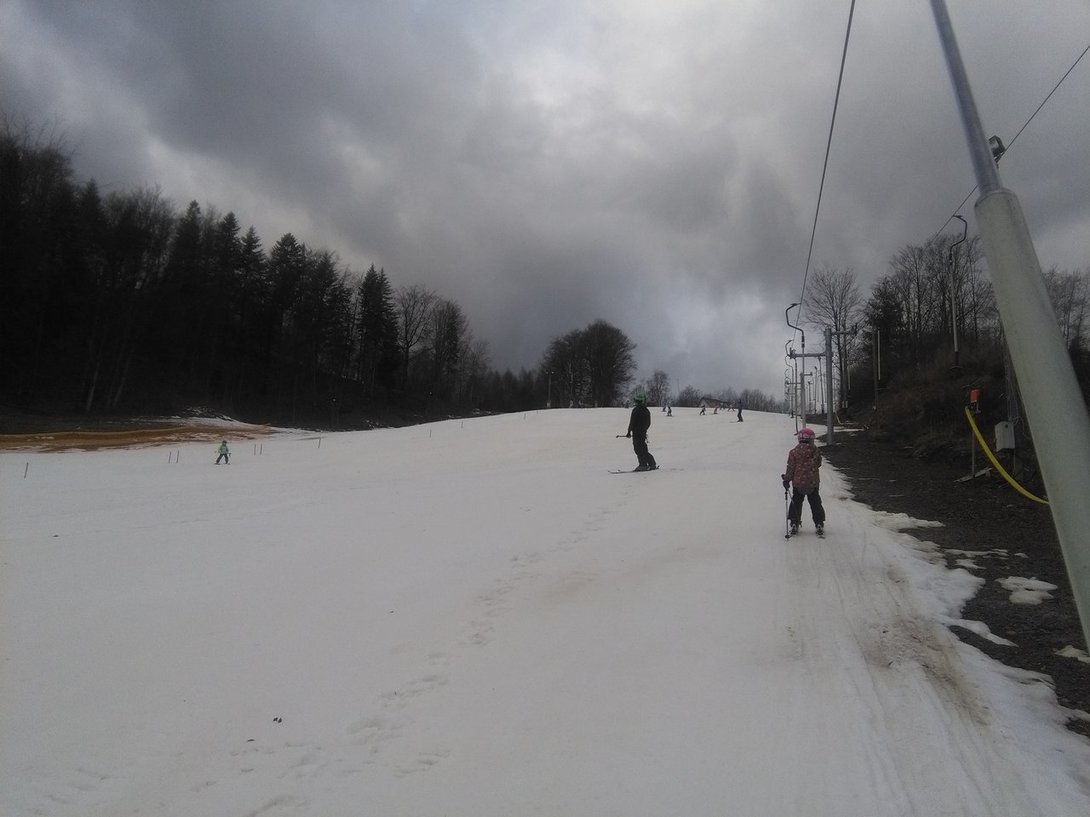 IMG_20200218_093656.thumb.jpg.6b1a2b81c9cd14b4ac53e9e8cd70ed55.jpg