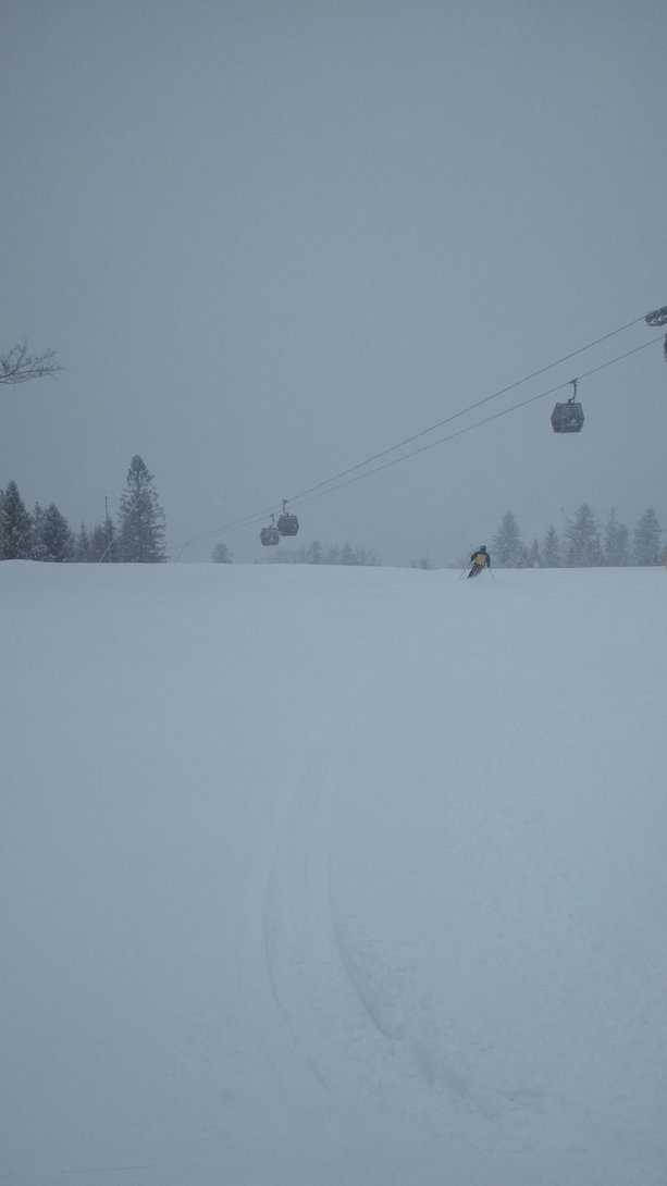 IMG_20200228_085234.jpg