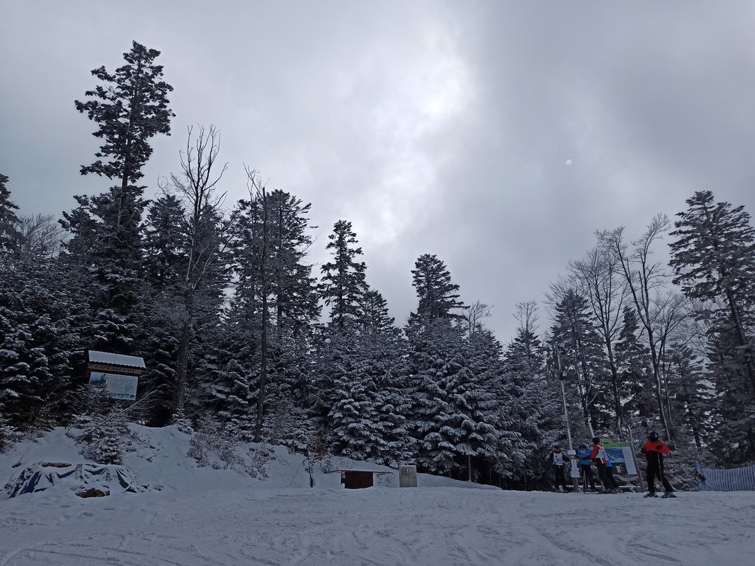 IMG_20200228_110218.jpg