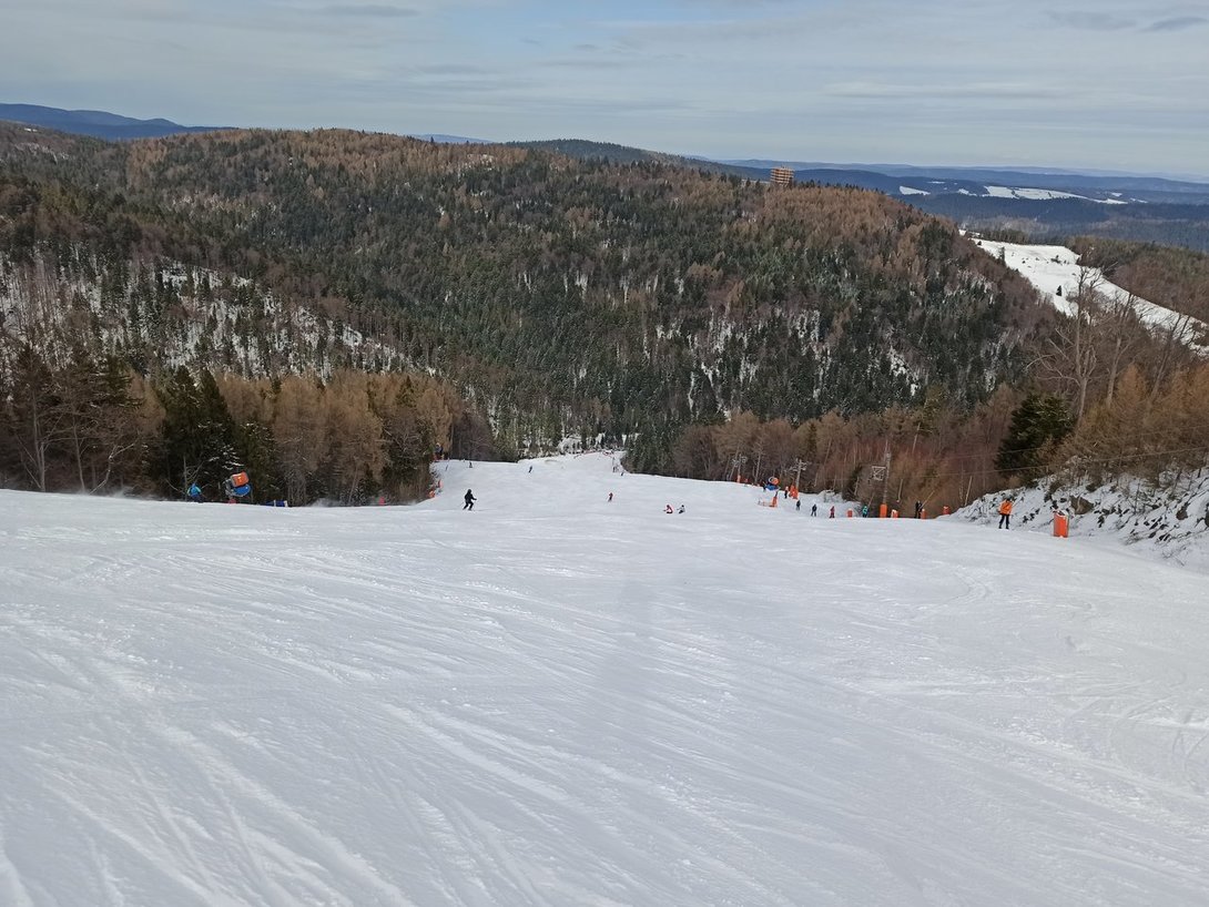 IMG_20200229_135518.jpg
