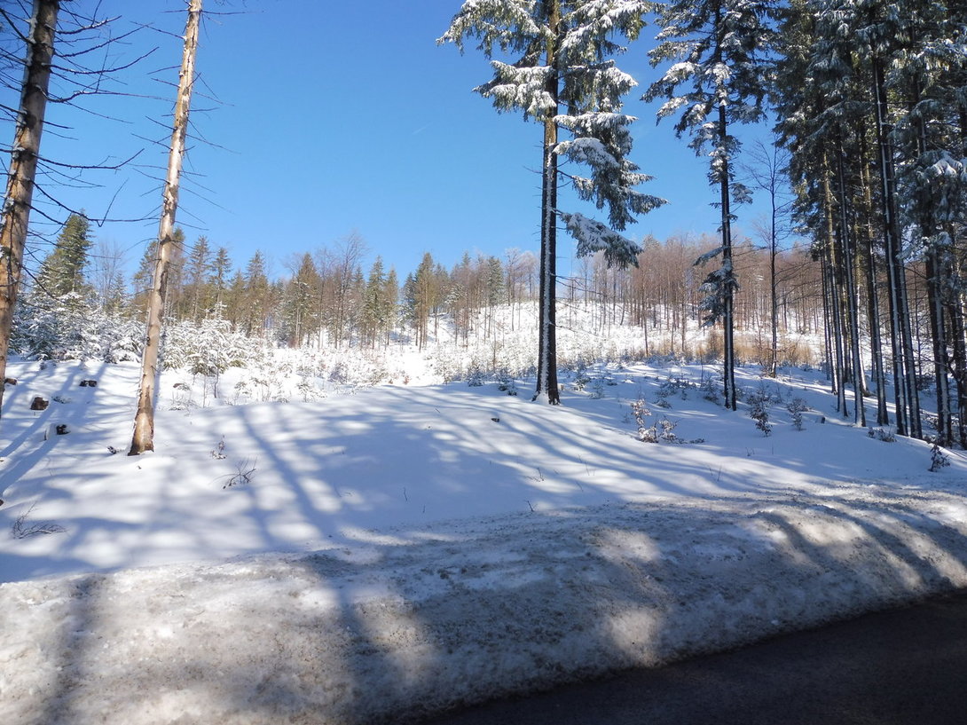P1010193.JPG