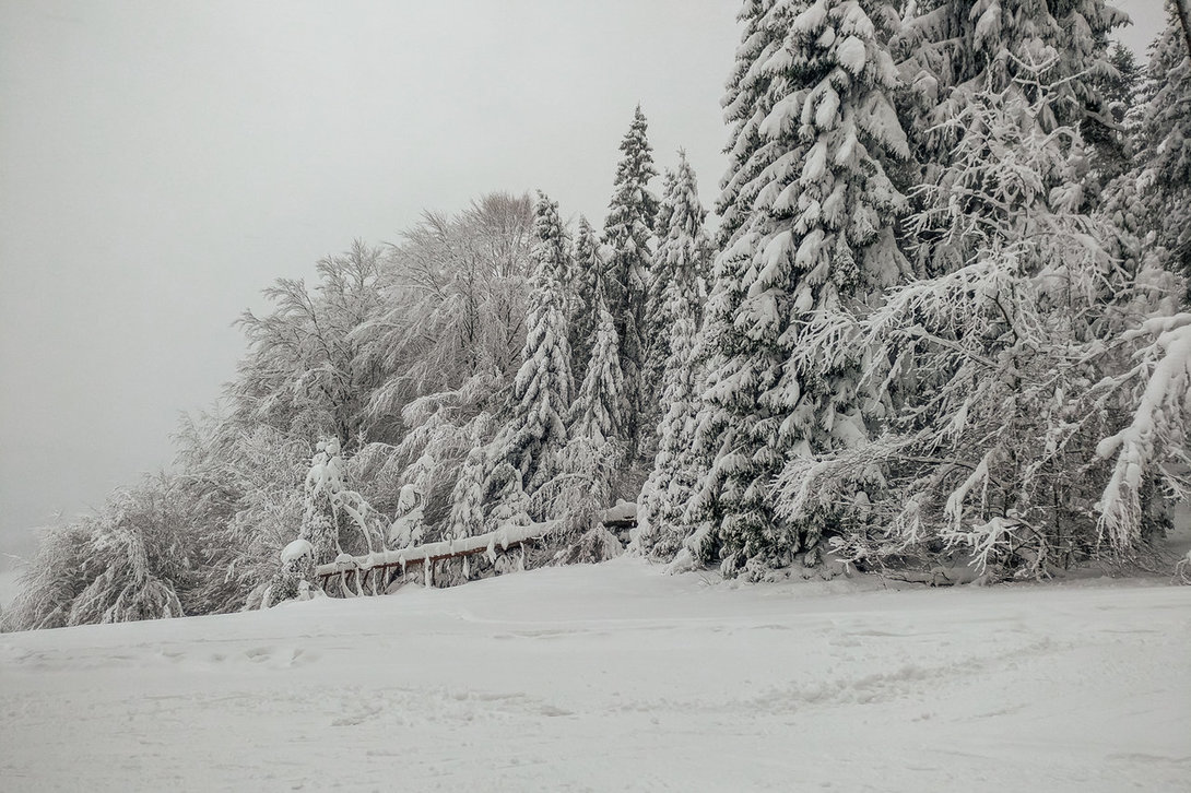 ski004_slotwiny.thumb.jpg.b8a3b3a1a0b38912258b958de7439183.jpg
