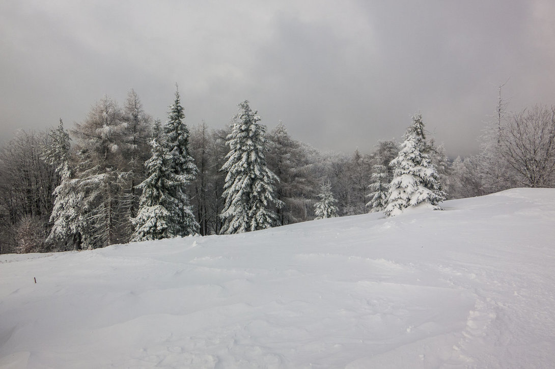 ski005_jaworzyna.thumb.jpg.7650bdd171020819c9a1fcdba56b1efa.jpg