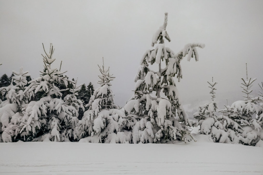ski006_slotwiny.thumb.jpg.ba72a367ed0821741043be4a57b6916b.jpg