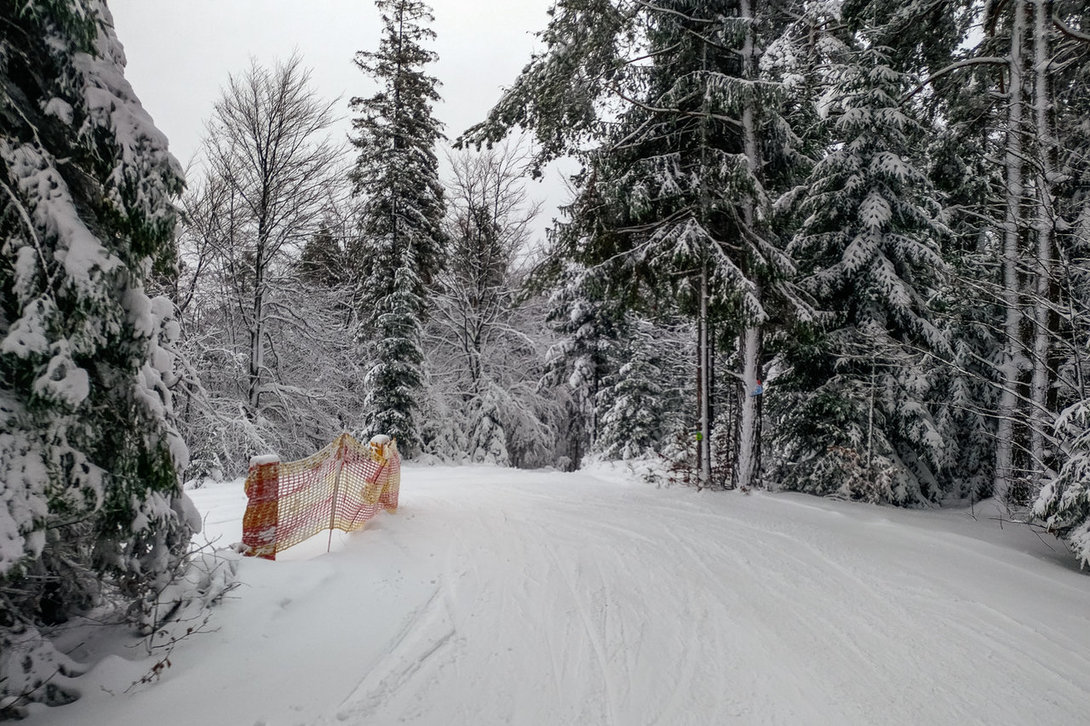 ski009_slotwiny.thumb.jpg.4a9c8cb630af527814724b94baab23fc.jpg