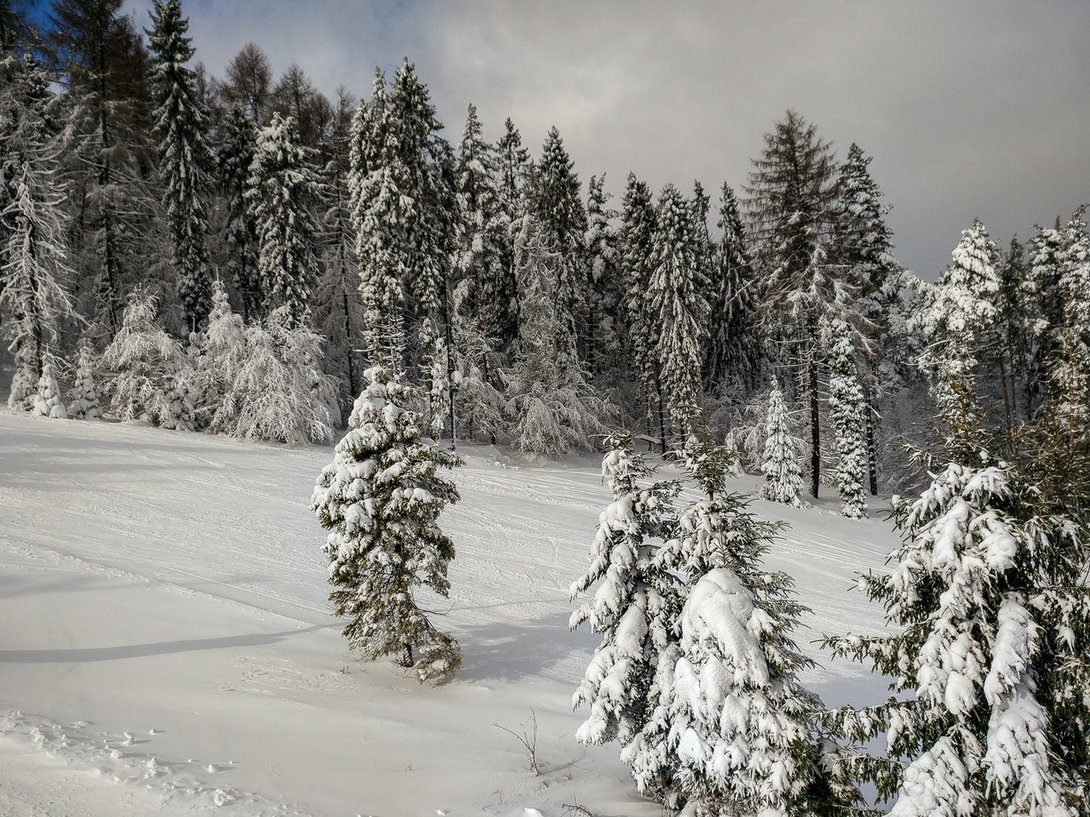 ski024_slotwiny.thumb.jpg.75d66c11c8552e68327ad2620c2bdf67.jpg