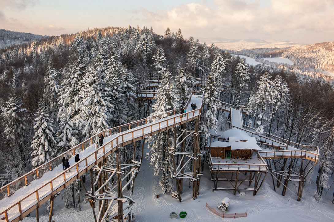 ski032_slotwiny.thumb.jpg.ca22a0ba4c23ffb19f9507b85e654508.jpg