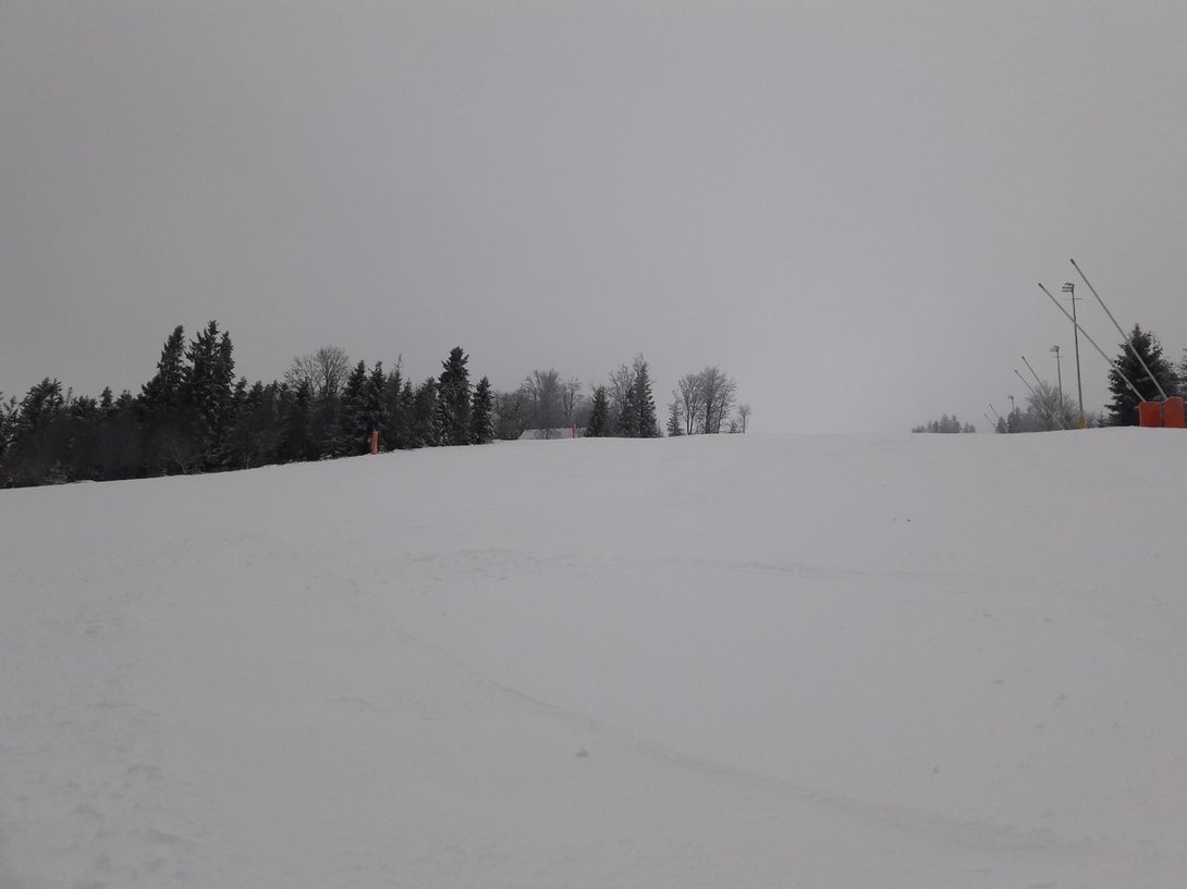 tmp-cam-557226440.jpg