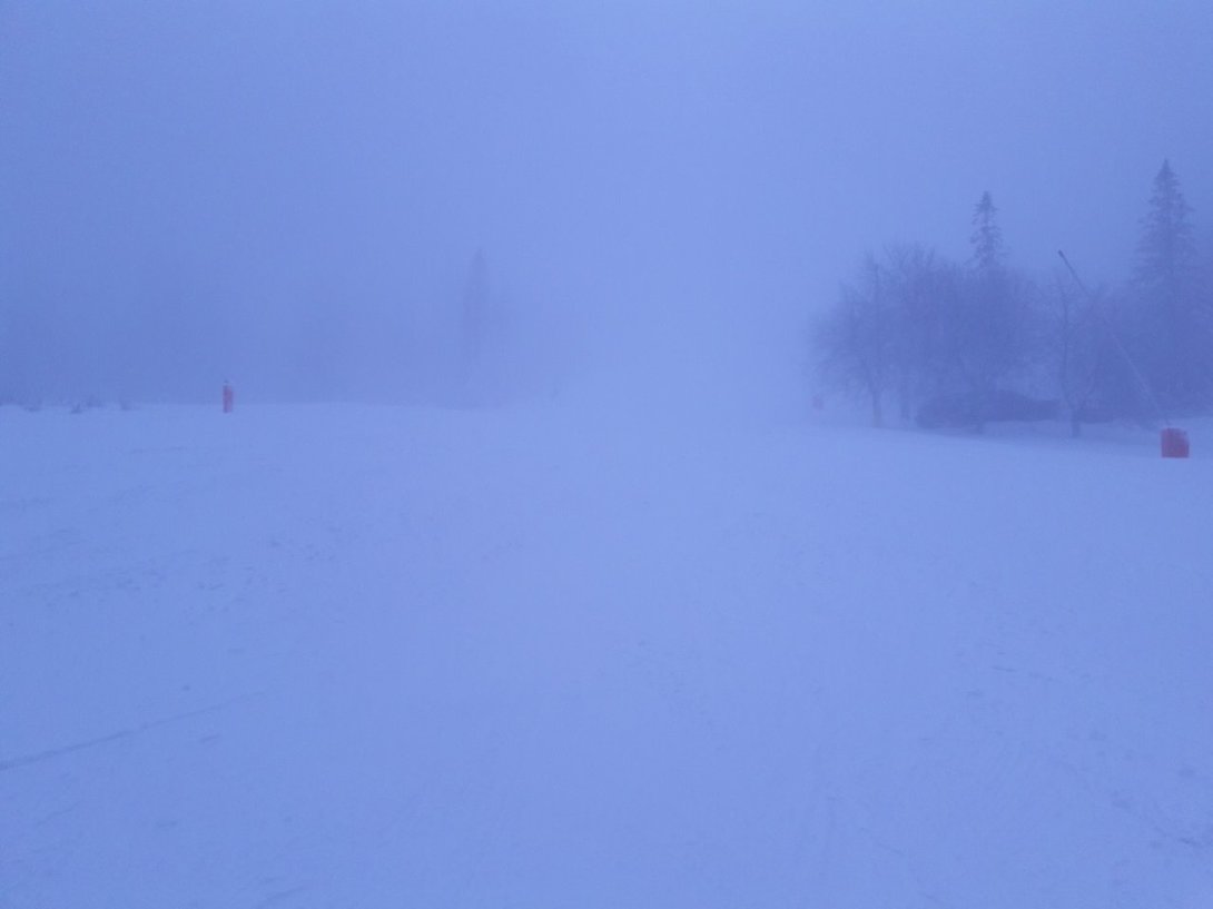tmp-cam-599909968.jpg