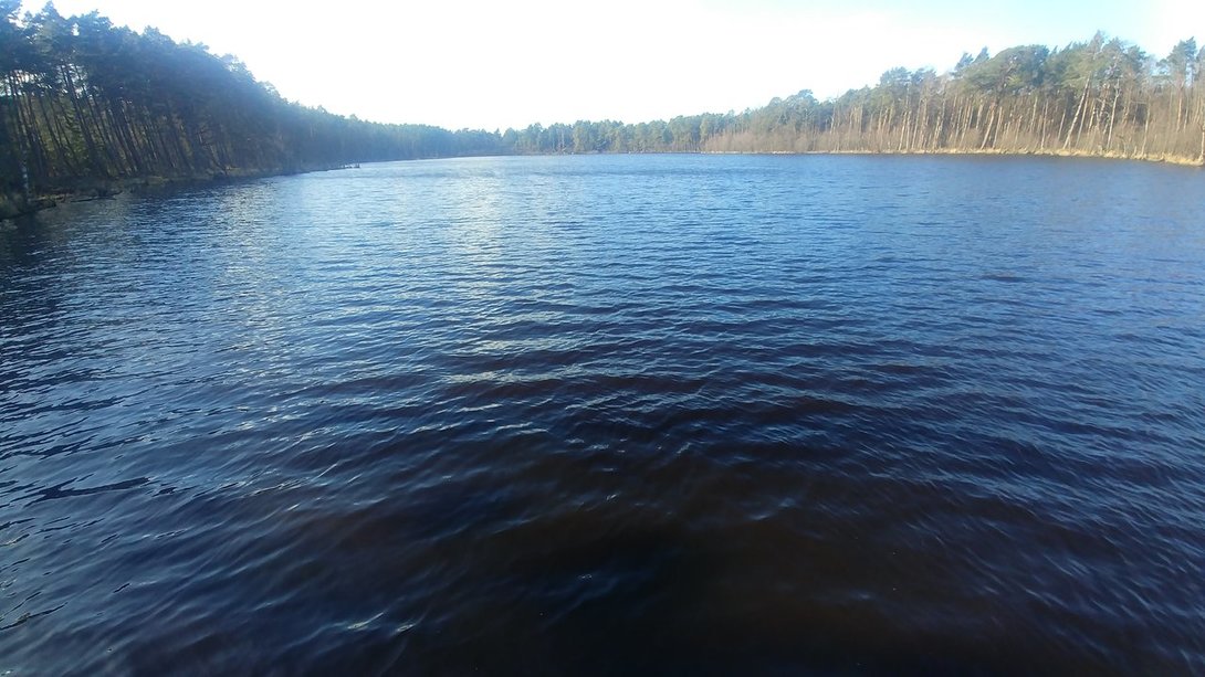 20200301_121614_HDR.jpg