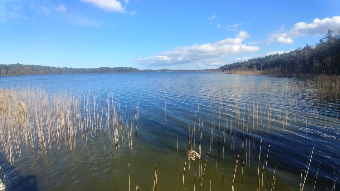 20200301_122728_HDR.jpg