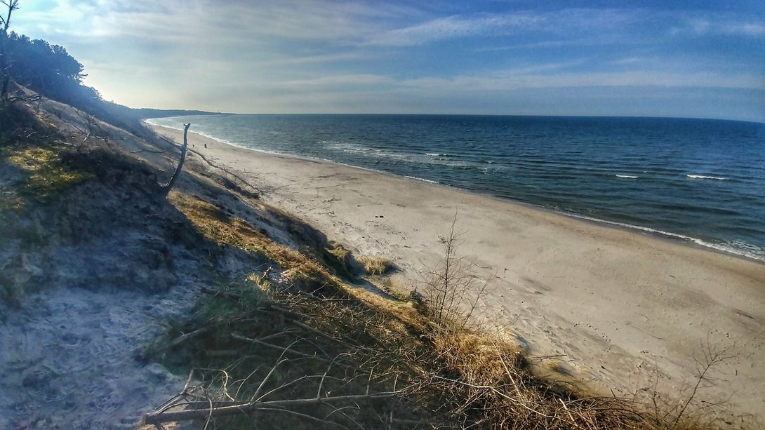 20200317_144349_HDR-01.jpeg