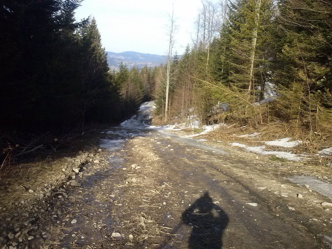 CAM01235.jpg