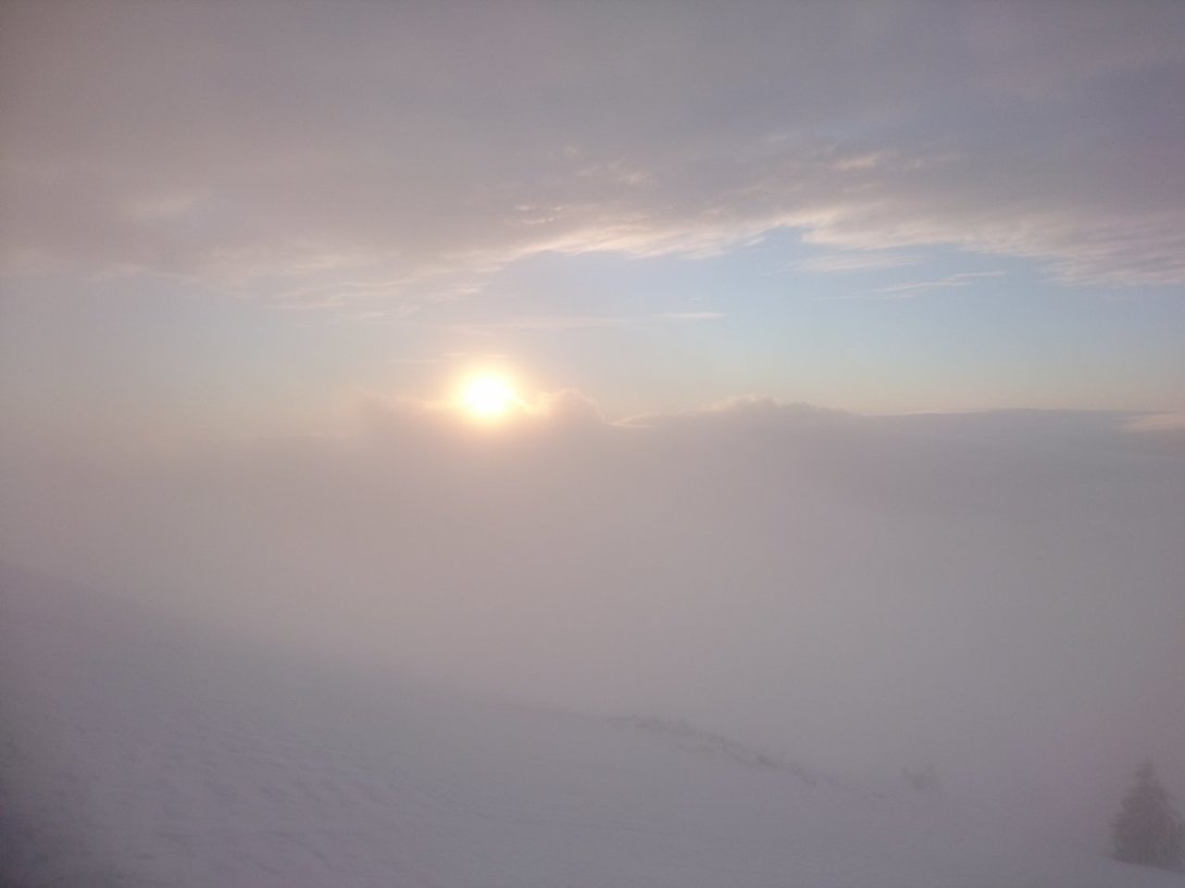 DSC_9132.JPG