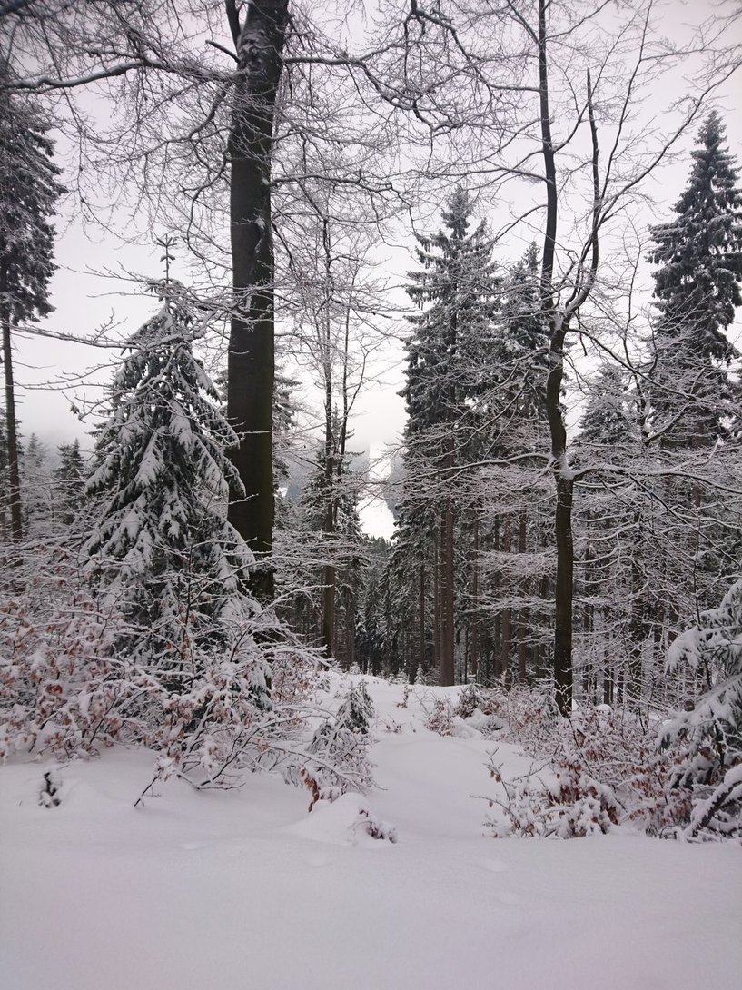 DSC_9728.JPG