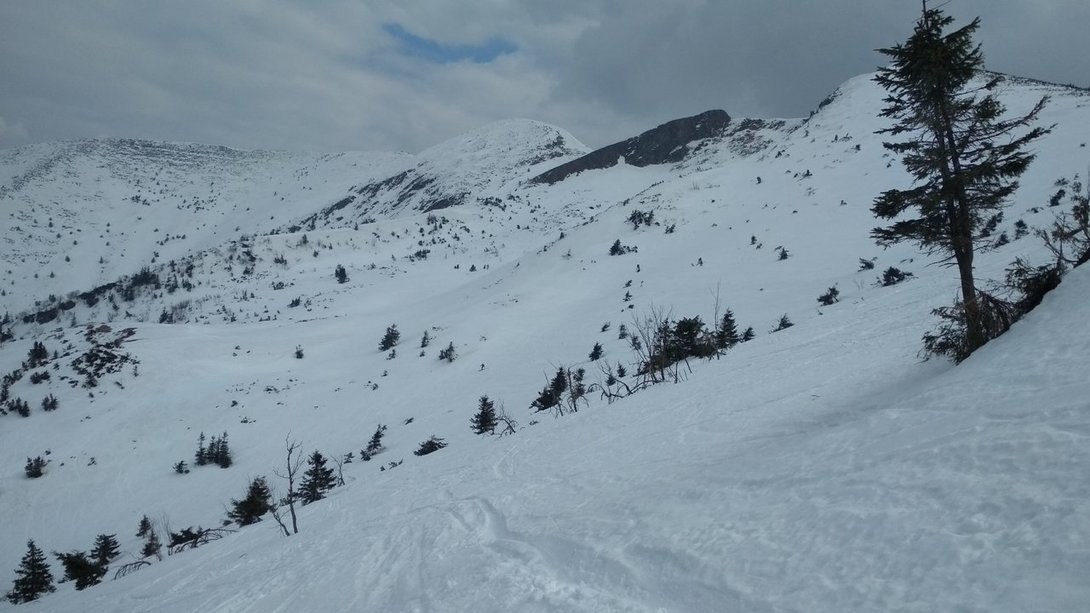 IMG_20190324_122547.jpg