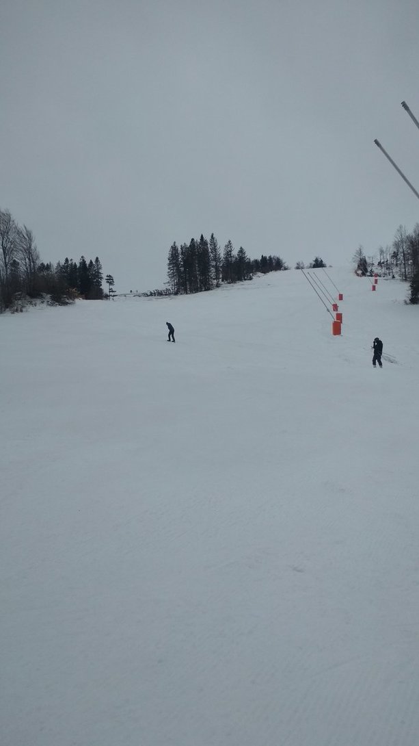 IMG_20200301_082110.jpg