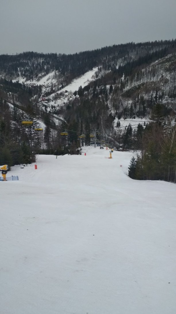 IMG_20200301_084313.jpg