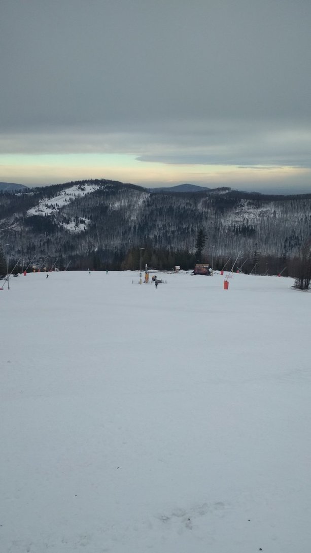 IMG_20200301_085425.jpg