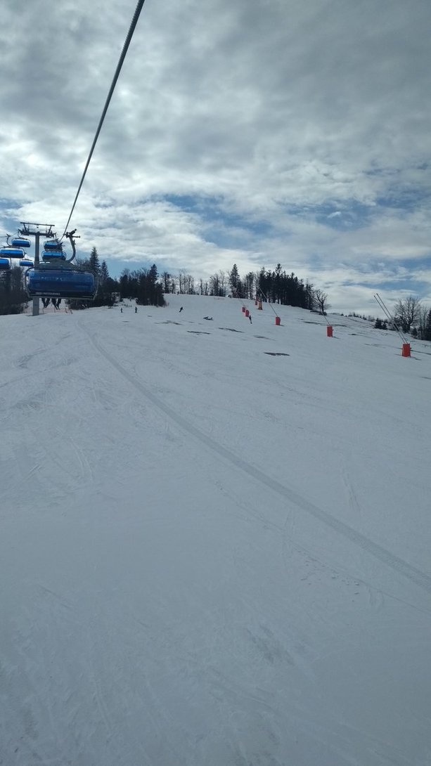 IMG_20200301_105536.jpg