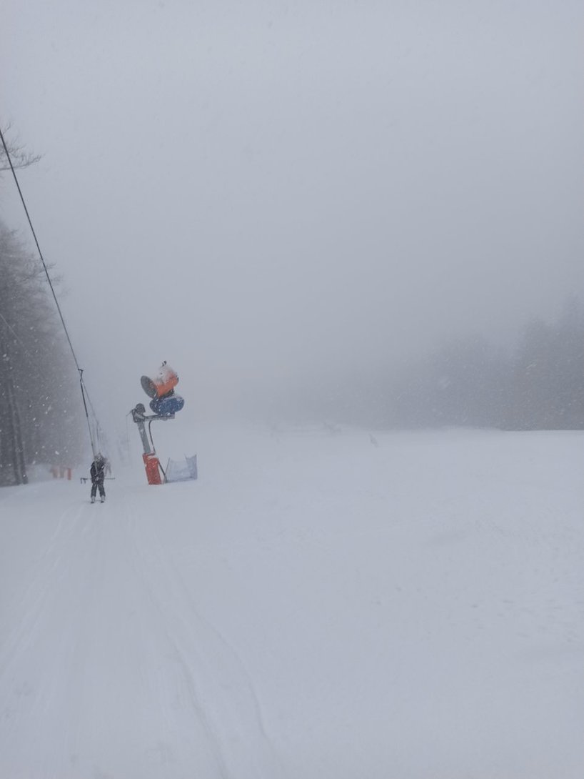 IMG_20200301_125717.jpg
