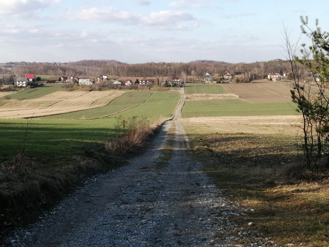 IMG_20200305_151556.jpg