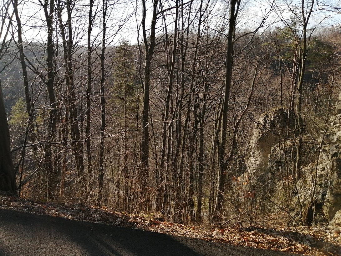 IMG_20200305_152249.jpg