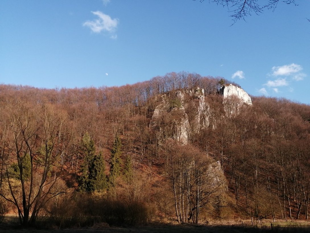 IMG_20200305_152740.jpg
