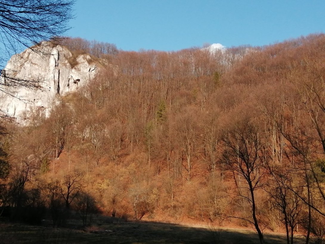 IMG_20200305_152755.jpg