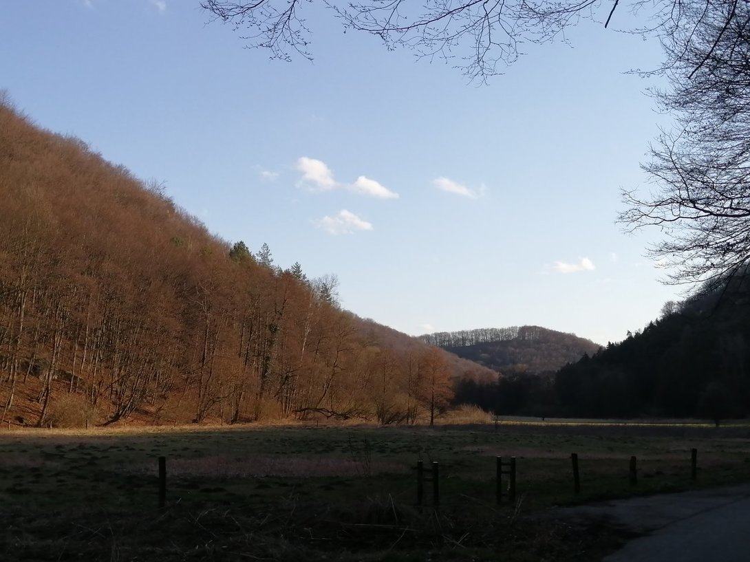IMG_20200305_152802.jpg