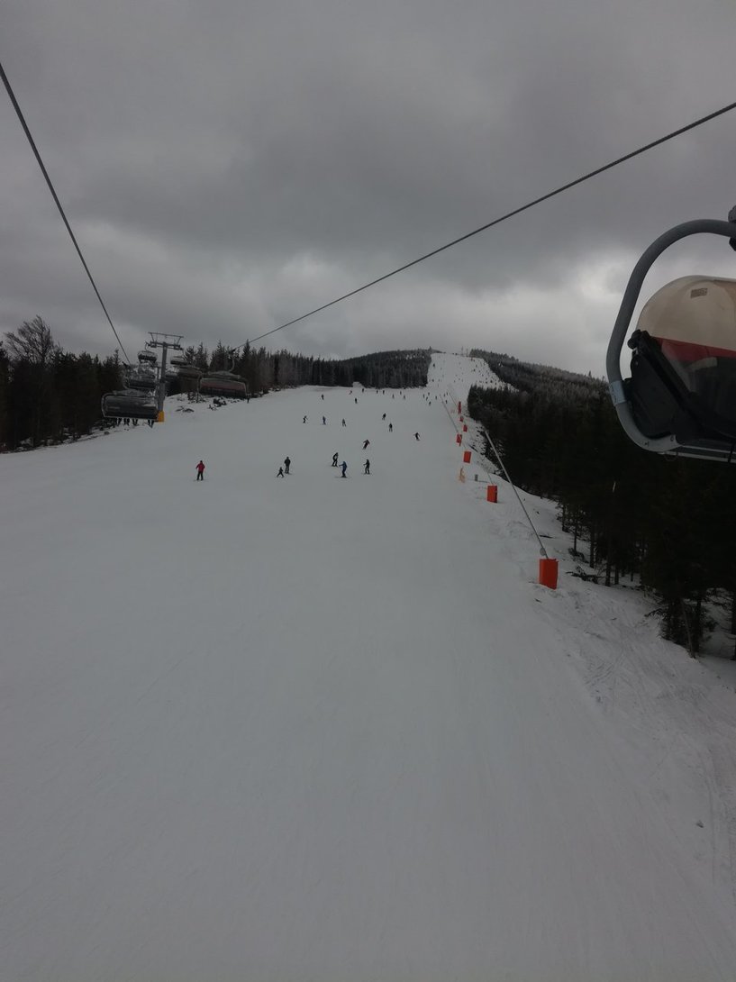 IMG_20200307_110952.jpg