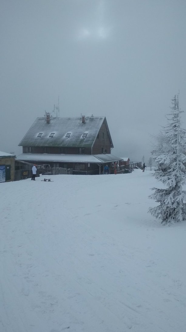 IMG_20200308_100140.jpg