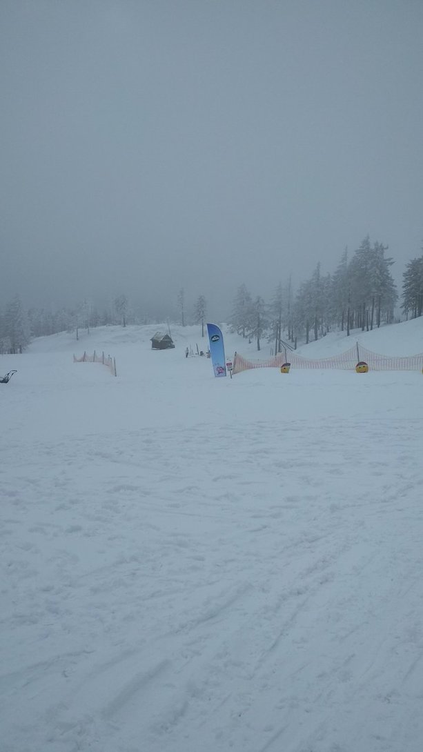 IMG_20200308_100229.jpg