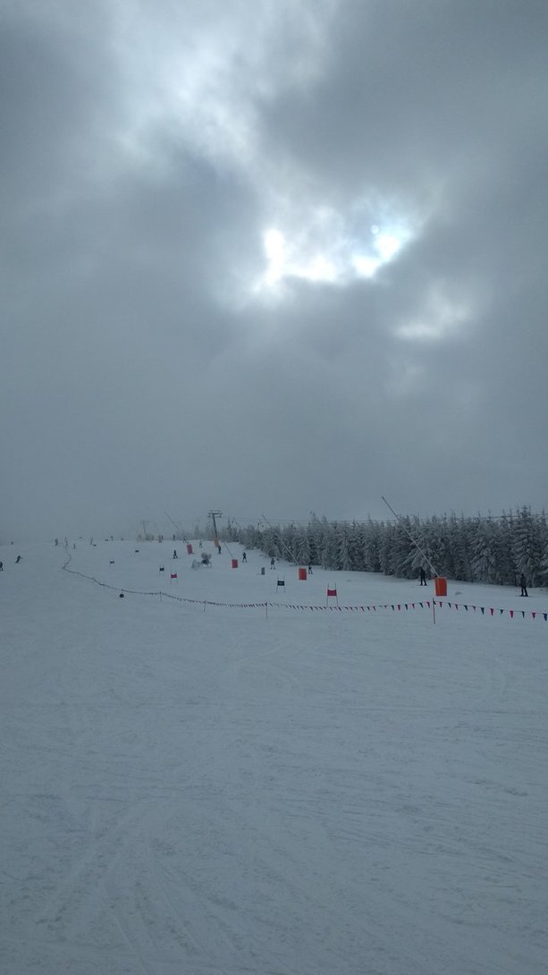 IMG_20200308_101625.jpg