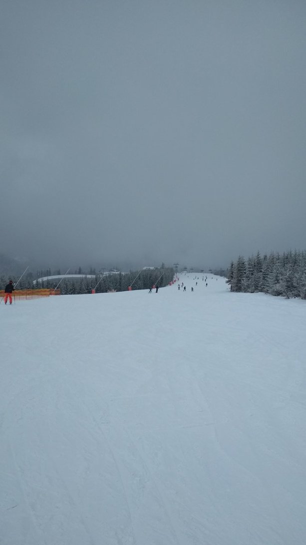 IMG_20200308_101631.jpg