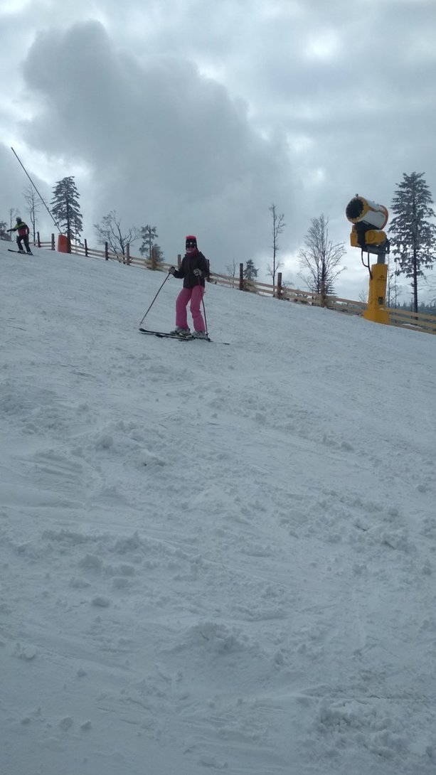 IMG_20200308_113446.jpg