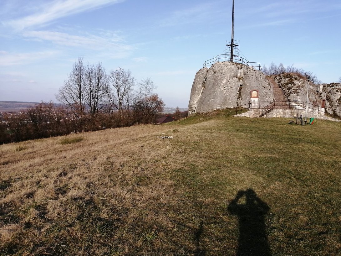 IMG_20200309_154602.jpg
