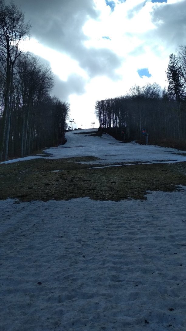 IMG_20200313_111714.jpg