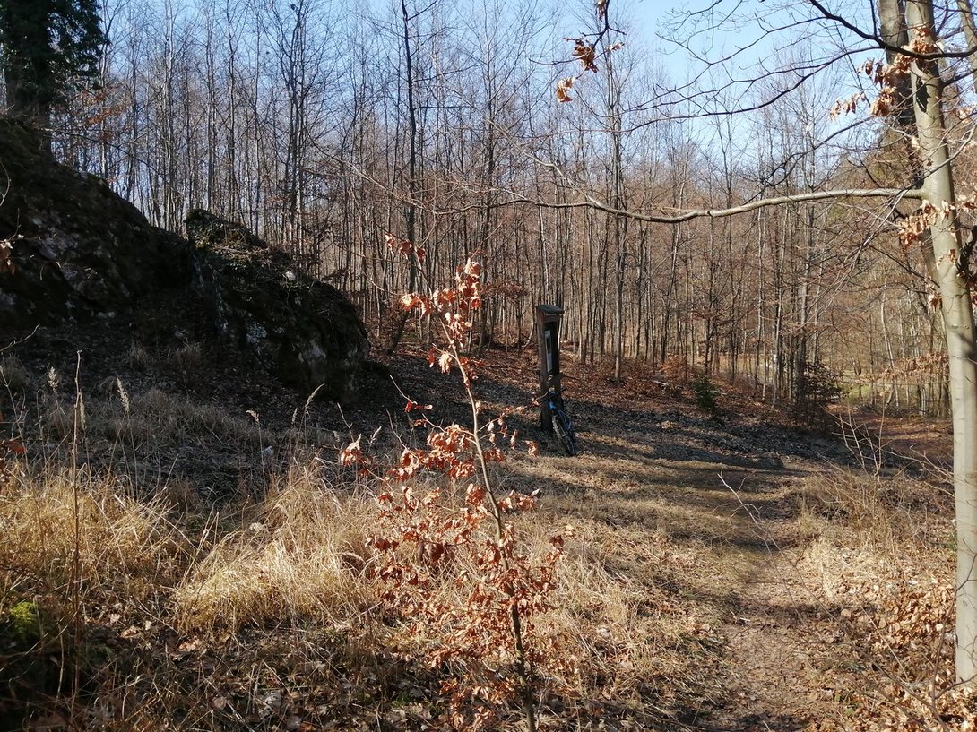 IMG_20200315_113651.jpg
