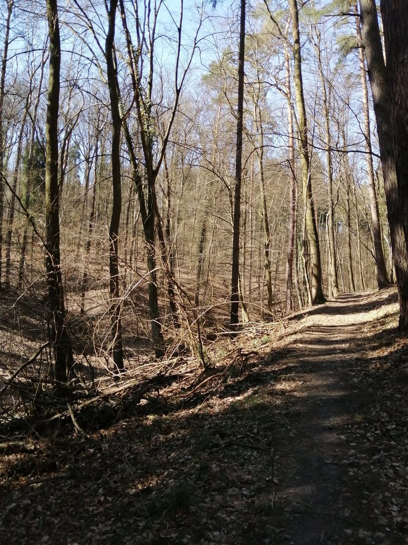 IMG_20200315_114435.jpg