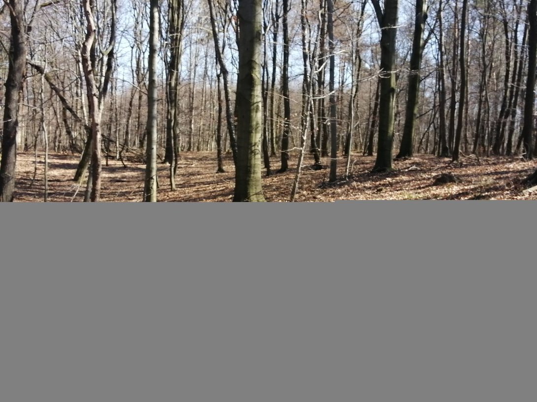 IMG_20200315_115743.jpg