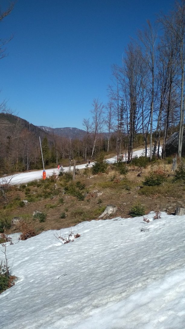 IMG_20200315_121056.jpg