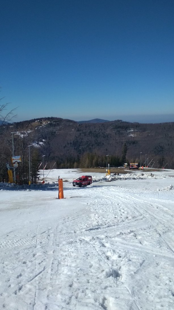 IMG_20200315_123659.jpg