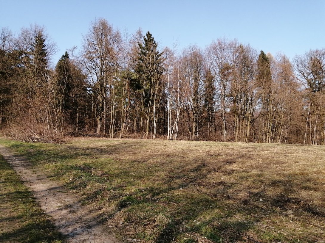IMG_20200317_141439.jpg
