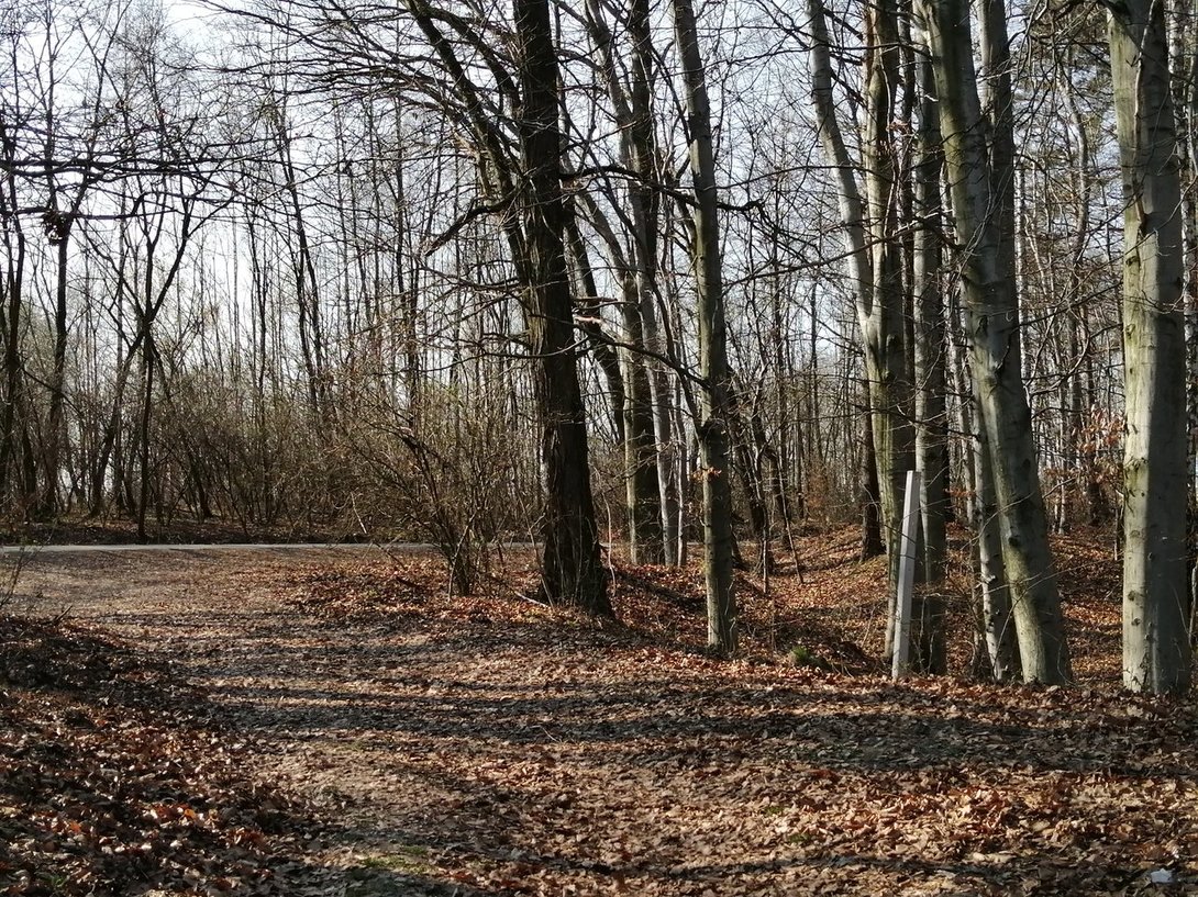 IMG_20200317_142316.jpg