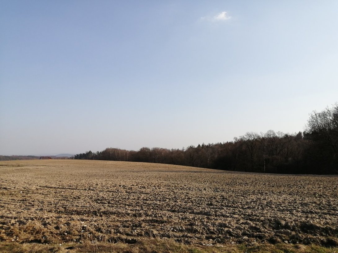 IMG_20200317_145609.jpg